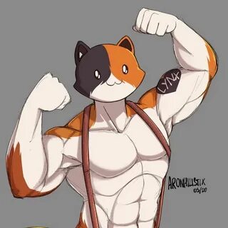 Mister furry