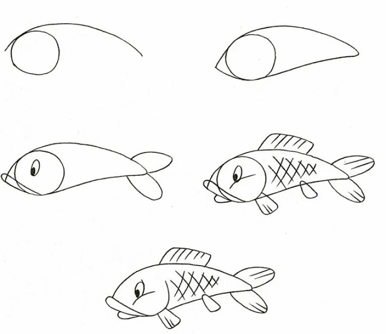 Поэтапное рисование для детей. Простые пошаговые рисунки. Поэтапное рисование рыбки. Этапы рисования рыбки для детей.