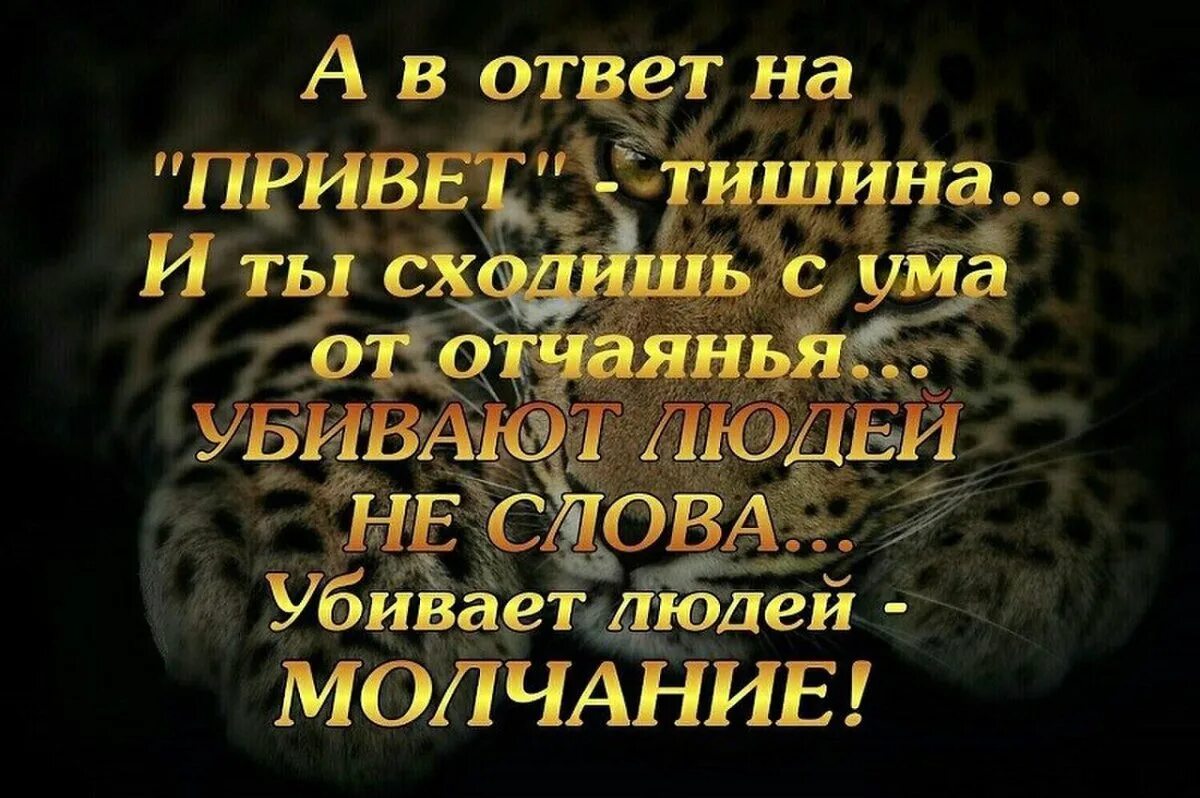 Тишина в ответ цитаты. Афоризмы про молчание. А В ответ тишина стихи. Цитаты про молчание в отношениях. Задать молчание