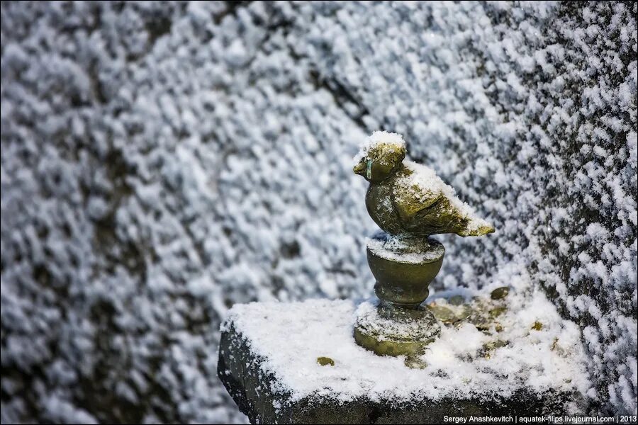 Чижик михайловск