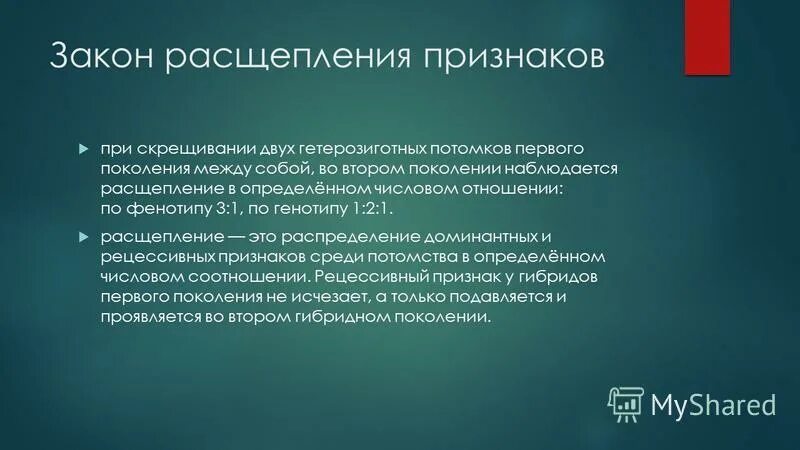 Расщепление признаков во втором поколении. Закон расщепления признаков. Закон расщепления признаков во втором поколении.