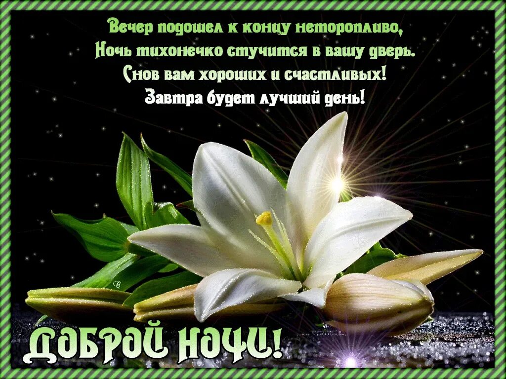 Добрый вечер доброй ночи картинки пожелания женщине. Доброго вечера и спокойной ночи. красивые пожелания доброй ночи. открытки добрый вечер и спокойной ночи. открытка спокойного вечера.