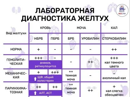 Показатели желтух