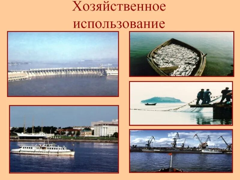 Хозяйственное использование рек человеком лены и амазонки. Хозяйственное использование рек человеком лены и амазонки