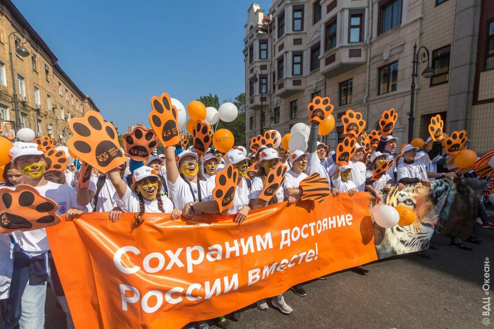Международный день тигра 29 июля. Международный день тигра 29 июля. День тигра владивосток 2021. День тигра владивосток 2022. Международный день тигров.
