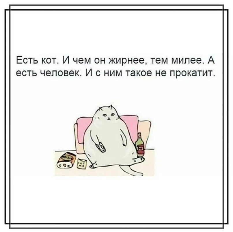 Почему котики такие милые