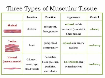 Three types