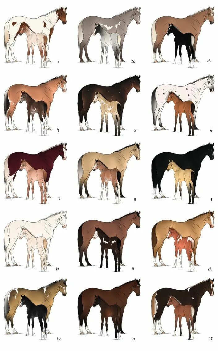 Horses - Athena Posters