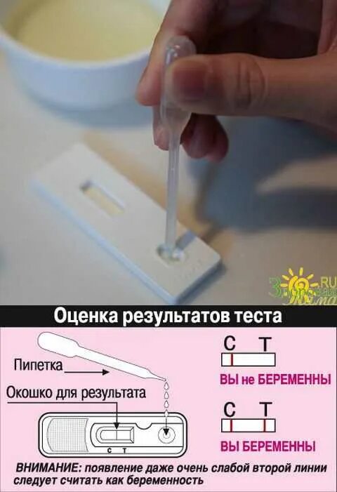 Правила пользования тестом. Как правильно сделать тест на беременность. Как делать тест на беременность. Как правильно делать тест на беременность. Как правильно делать тест.
