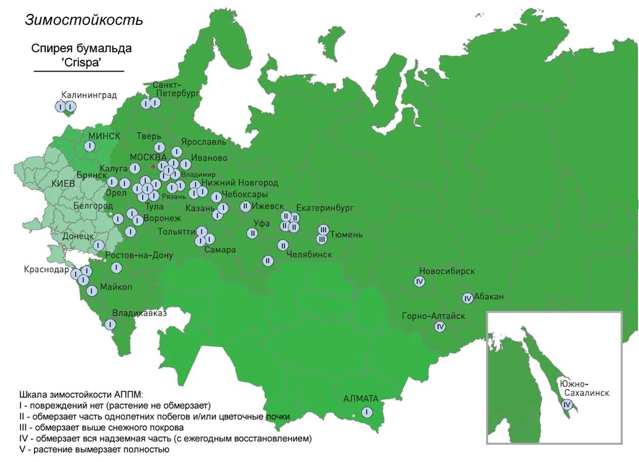 Карта растений московской области. Карта зон зимостойкости растений. Зоны зимостойкости растений России на карте. Карта морозостойкости растений. Питомники России на карте.
