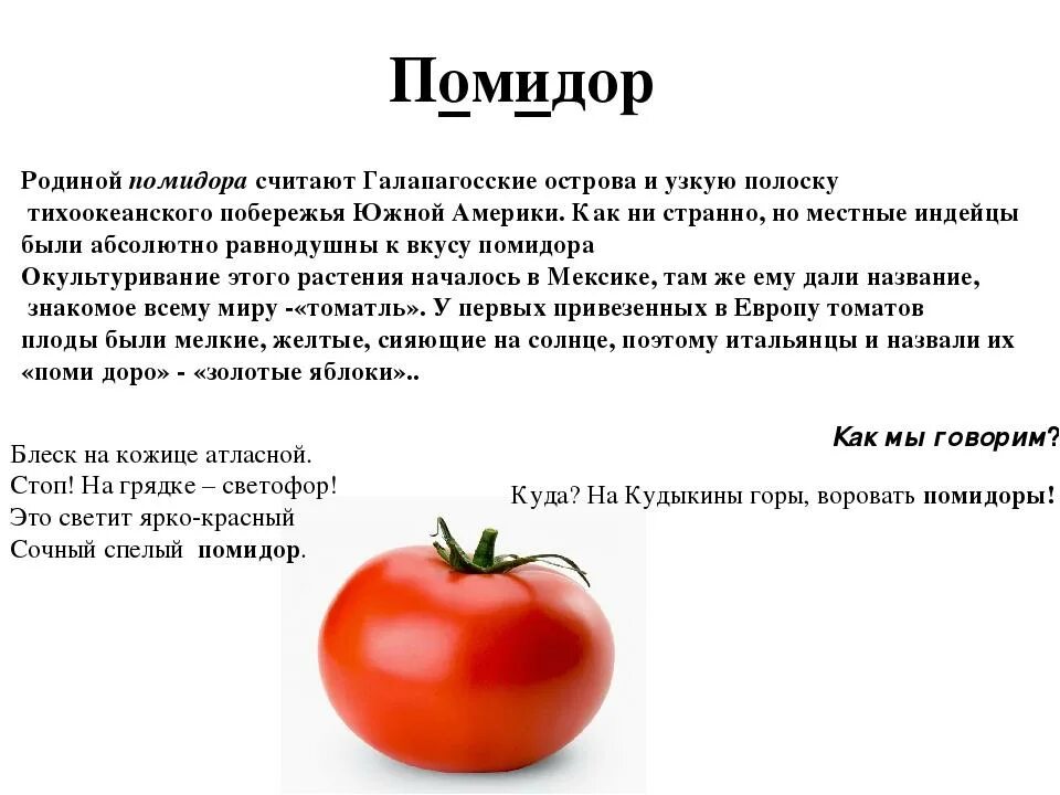 Как правильно написать помидоры. Помидор как культурное растение описание. Рассказ о культурном растении томат. Помидор описание плода. О помидорах кратко.