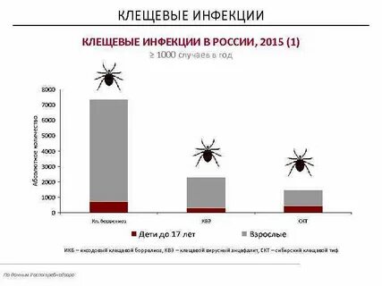 Статистика клещевого энцефалита 2023