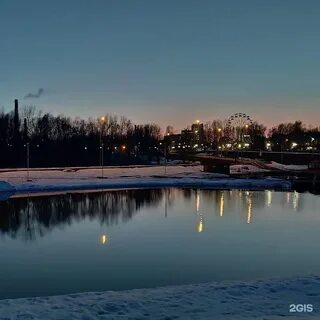 Амазония чебоксары