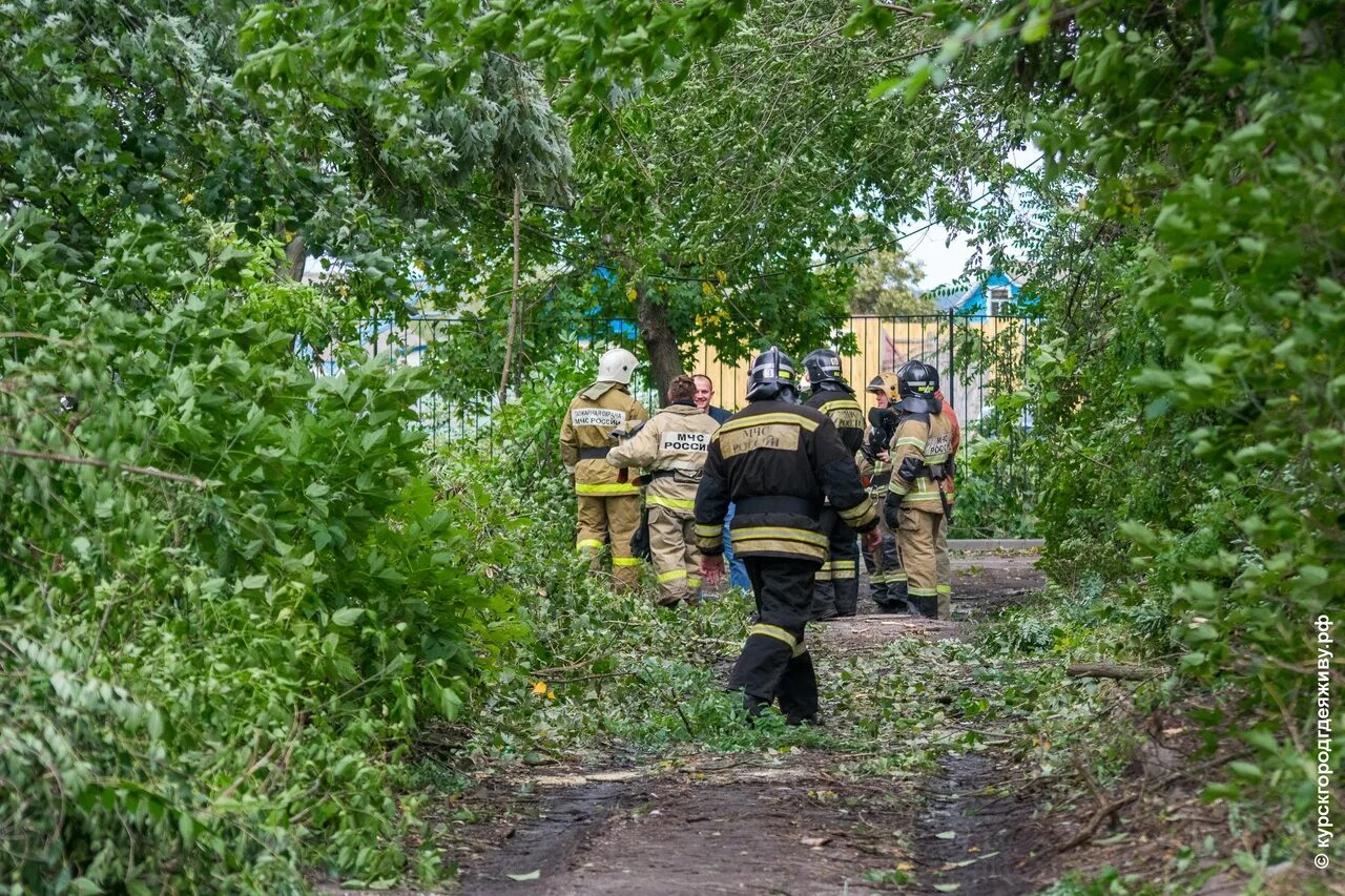 Новости курской области за сутки. Ураган в Курской области. Пожары при ураганах. Новости Курска. Пожар в домовладении.