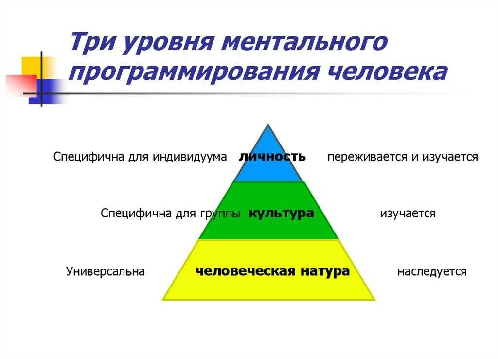 Ментальный уровень это простыми. Уровни ментальности. Три уровня человека. Ментальный уровень. Уровни человека мен альный.