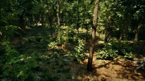 Unreal engine 5 системные