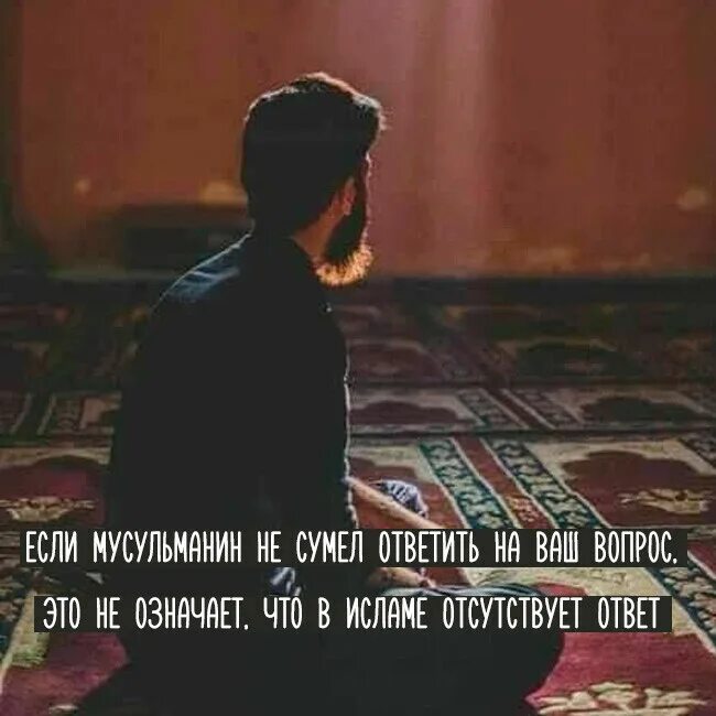 Мусульманские картинка про жизнь