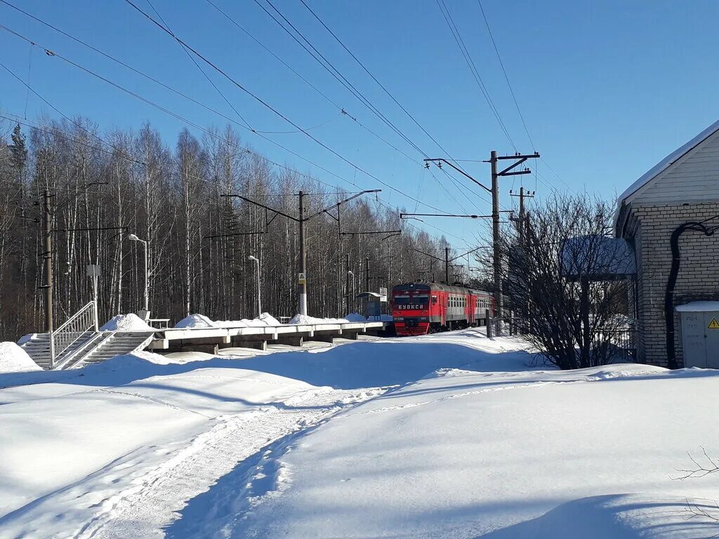 Прогноз погоды ленинградская область васкелово. Васкелово ЖД станция. Васкелово Ленинградская область. Станция Васкелово Ленинградская область. ЖД станция Васкелово озеро.