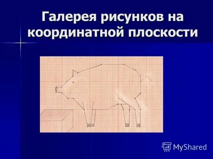 6 нарисуйте животное на плоскости