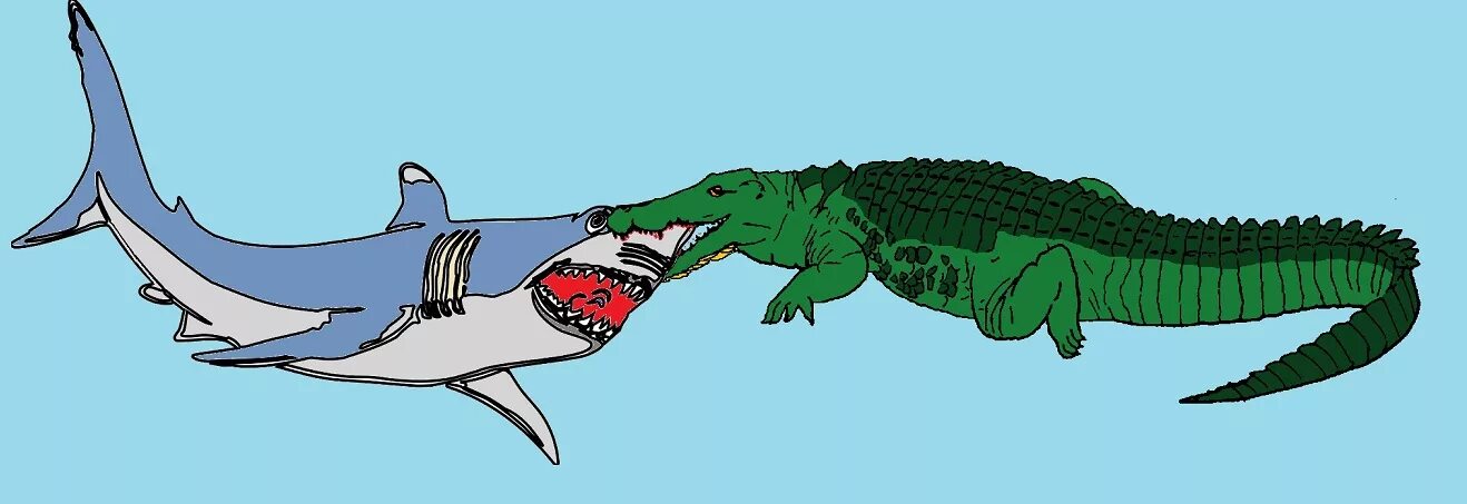 Змея крокодил акула. Гребнистый крокодил против акулы. Белая акула против гребнистого крокодила. Акула МЕГАЛОДОН против крокодила. Гребнистый крокодил ест акулу.