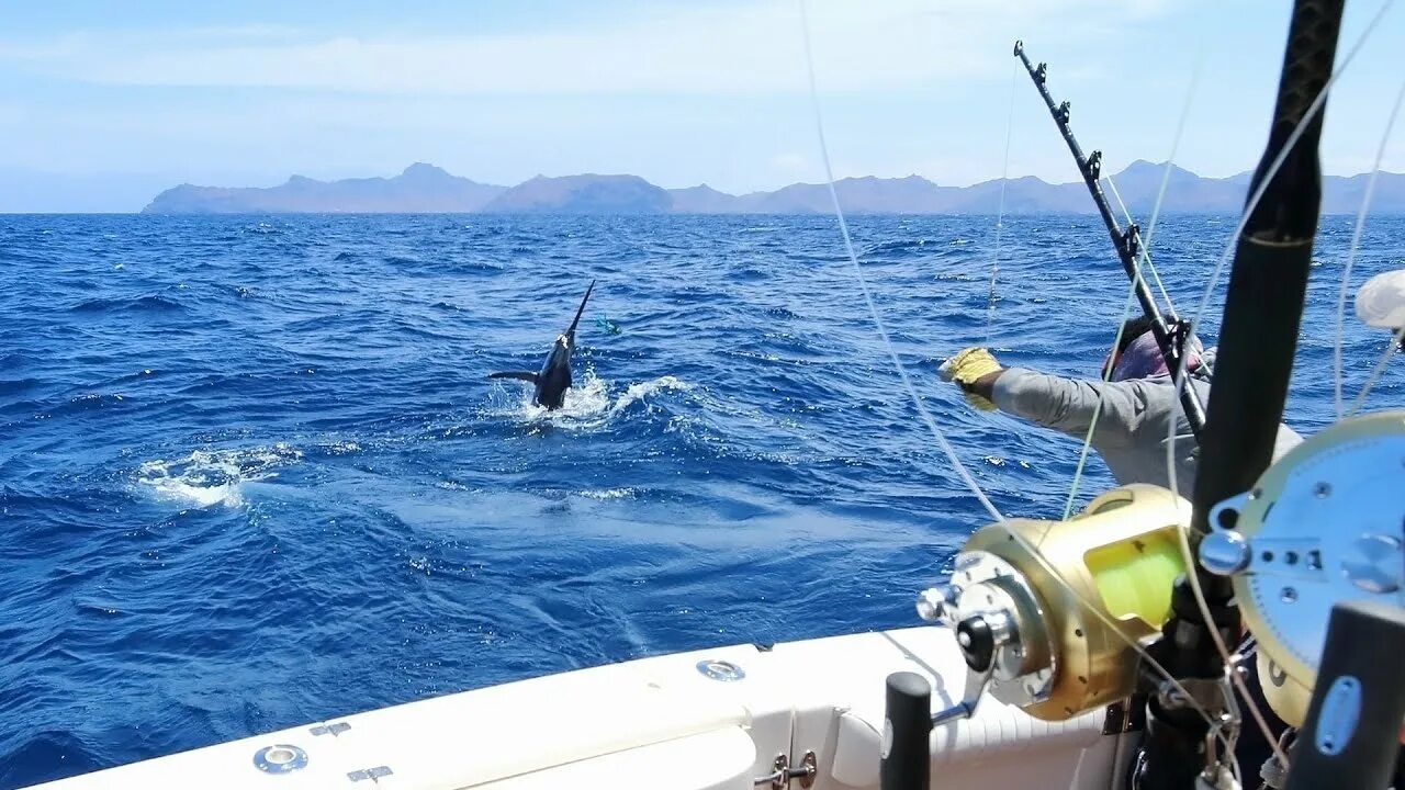 Как попасть во второе море в фиш. Как попасть во второе море в фиш