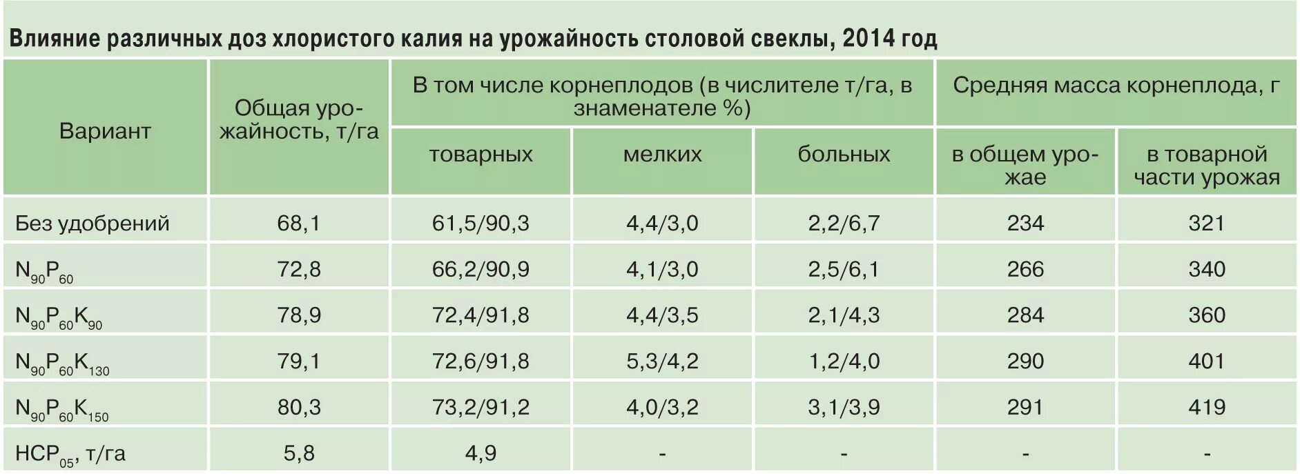 Урожайность кормовой. Урожайность свеклы столовой с 1 га. Урожайность столовой свеклы с 1 м2. Свекла столовая урожайность 1 га. Урожайность свеклы с 1 га в открытом грунте.