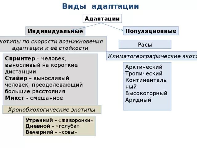 Адаптации являются результатом. Виды адаптации. Популяционная адаптация. Виды адаптации человека. Индивидуальные адаптации виды.