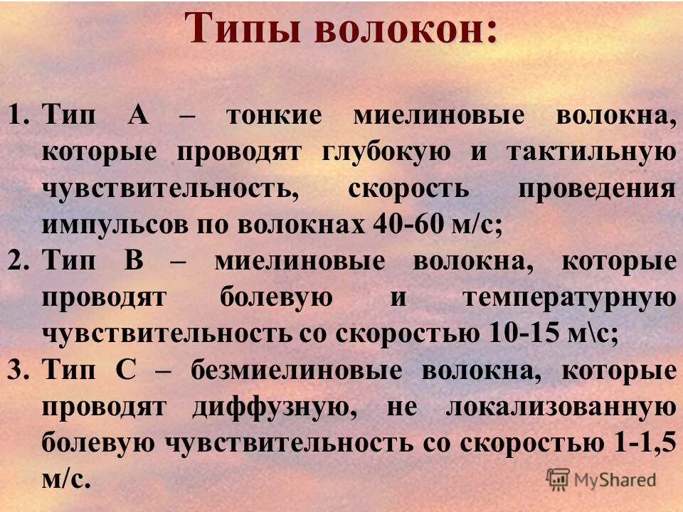 функциональная классификация нервных волокон. эрлангер, х. характеристика волокон а б с. гассер;. характеристика волокон а б с.