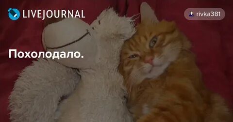 Похолодало разбор