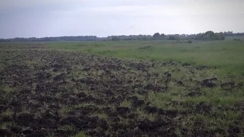 Почвы курского края