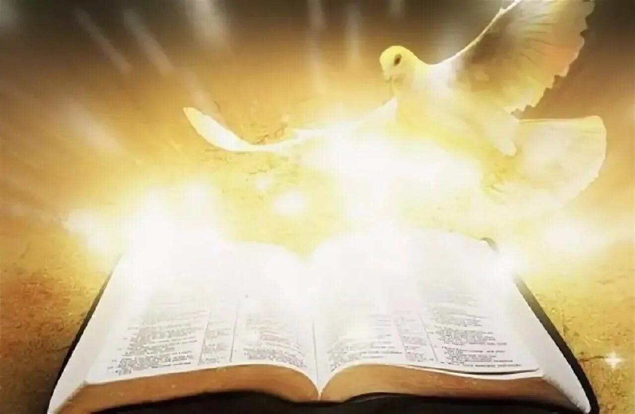Свет слова божьего. Голубь и Библия. Свет из Библии. Библия на красивом фоне. Библия на фоне света.