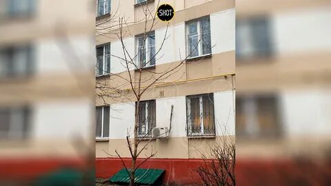 Из окна желтели