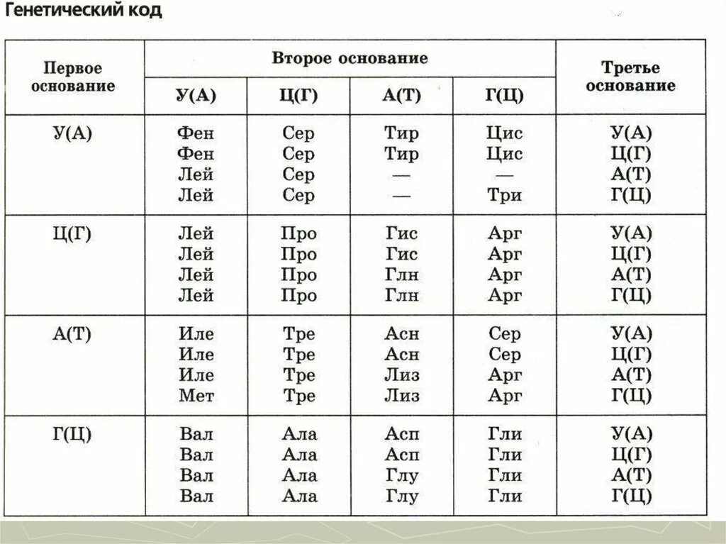 Таблица генетического кода по биологии 9 класс. Кодирование ДНК таблица. Генетический код таблица биология 10 класс. Генетическая таблица генетический код.