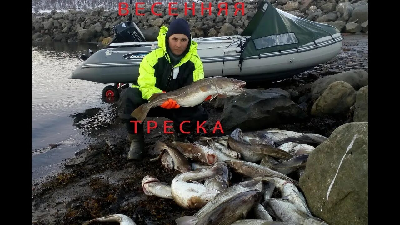 Где ловили рыбу англичане в баренцевом море. Треска баренцево море мурманск. ловля трески. рыбалка в баренцевом море. мурманск рыбалка.