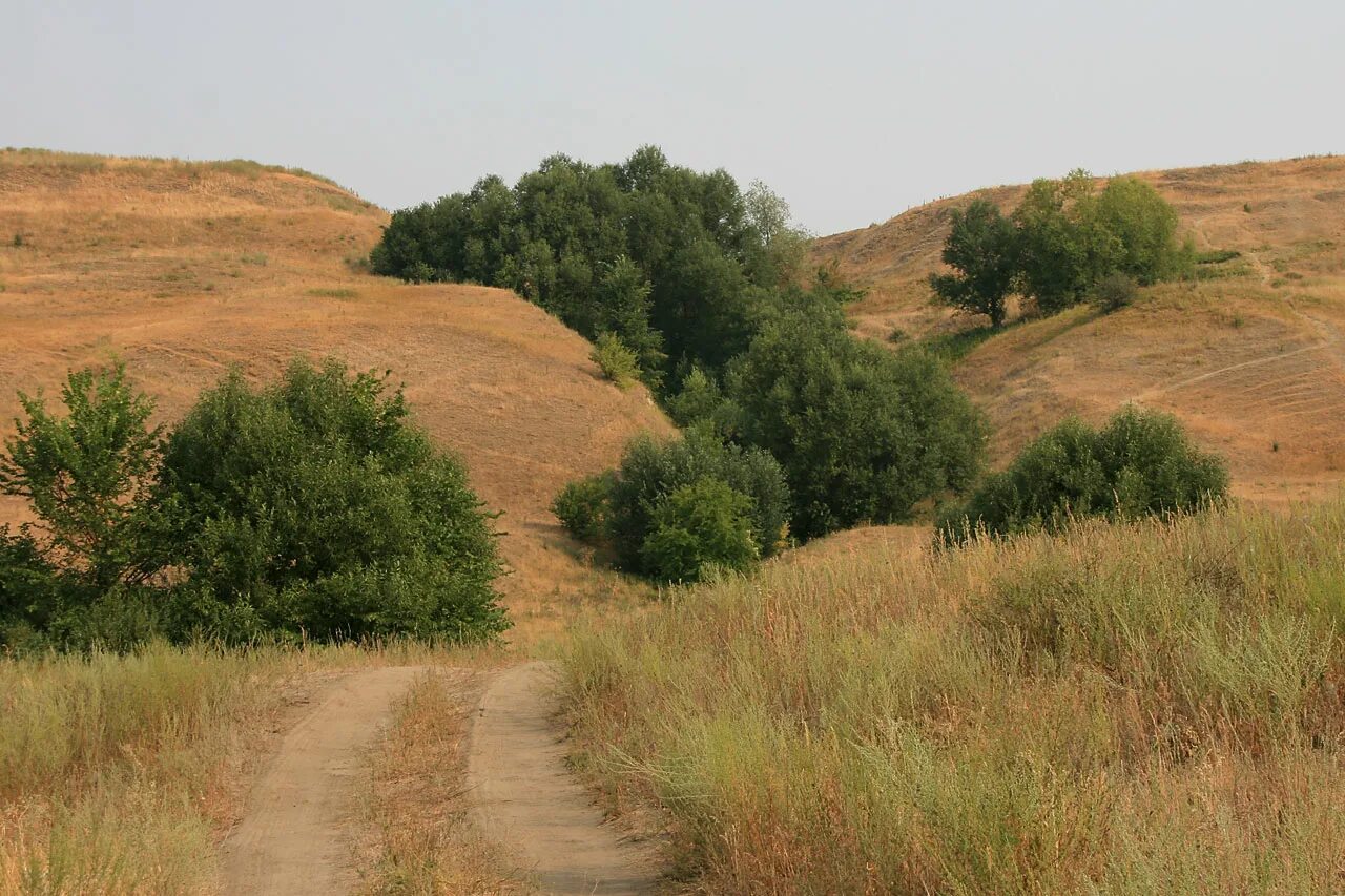 село гранки пензенской области бековского района. погода гранки беков р н пензен обл. деревня беково пензенская область. деревня беково пензенская область. николь азясь мокшанский район.