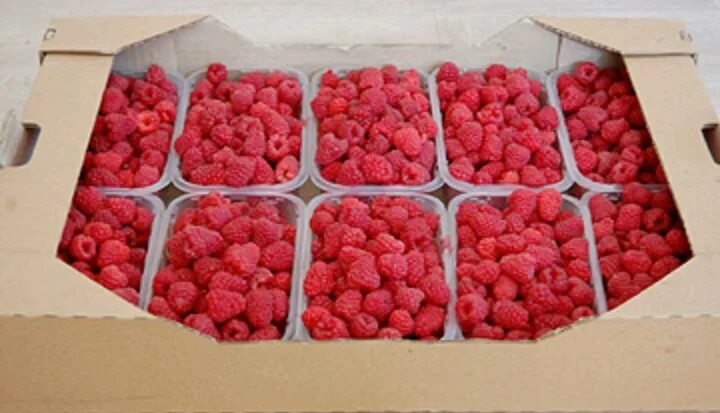 коробочка малины. малина в коробочке. малина в ящиках. коробка с малиной. коробка с малиной на кожаном чехле.