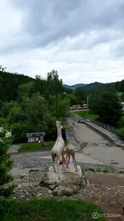Терренкуры белокурихи