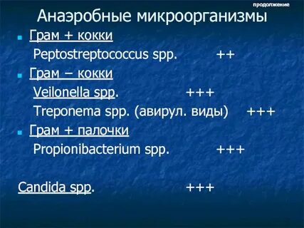 Грам кокки