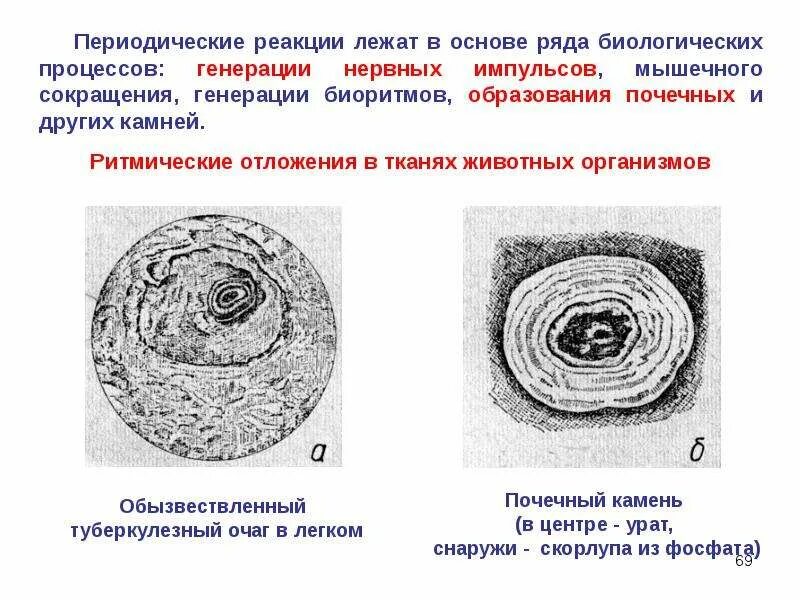 Жила лежит в основе. Периодические реакции. Кольца Лизеганга реакции. Периодические реакции в студнях и гелях. Периодические реакции – это свойства.