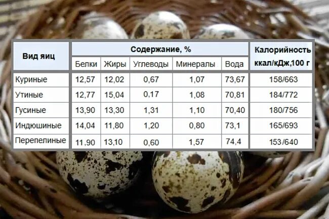 Сколько белков и жиров в яйце. Пищевая ценность перепелиных яиц 1 шт. Калорийность перепелиного яйца. Перепелиное яйцо калории. Энергетическая ценность перепелиного яйца.