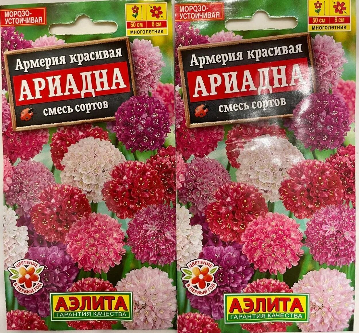 Армерия купить семена. Армерия Арманд Роуз.