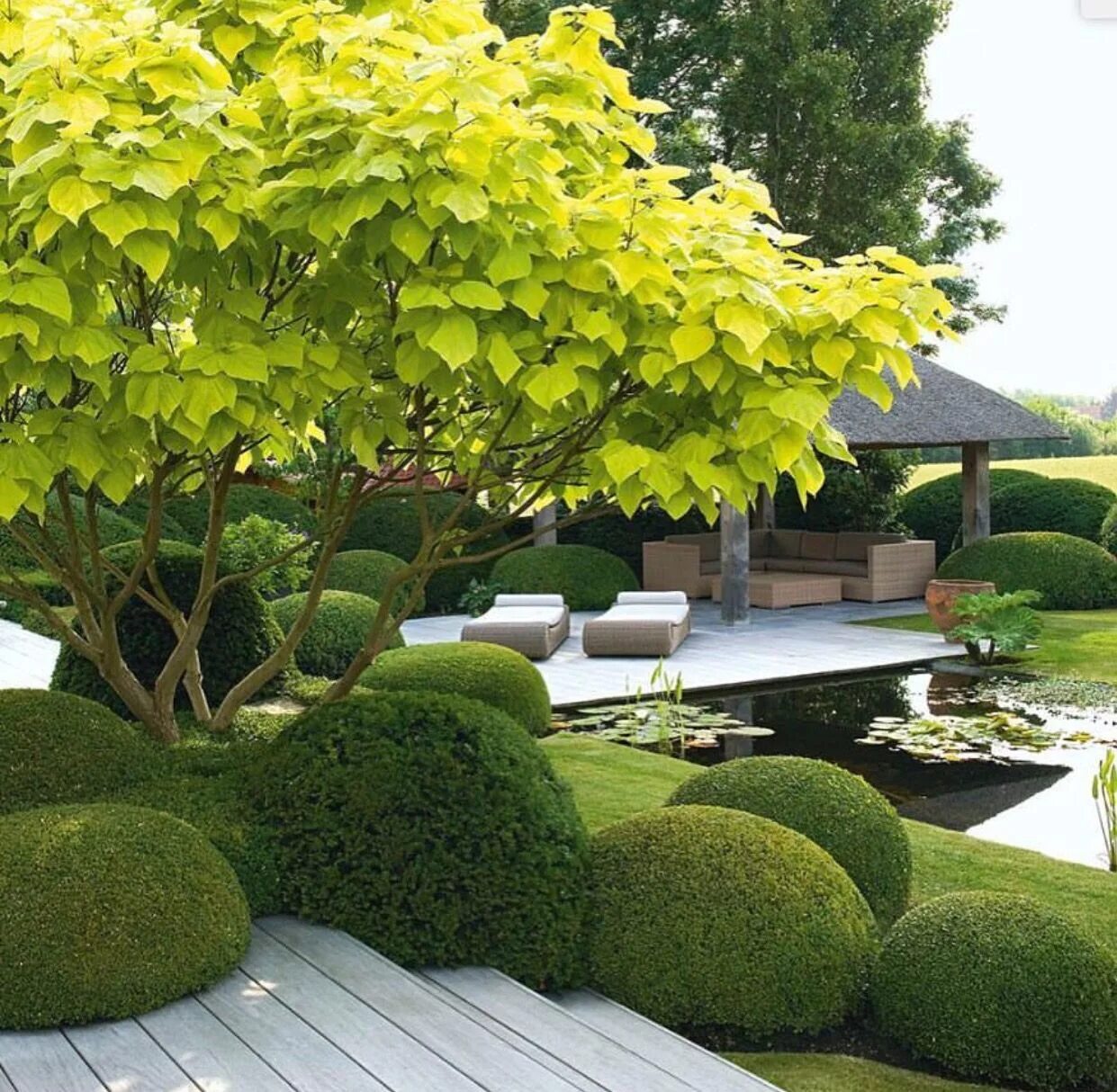 Современный дизайн сада