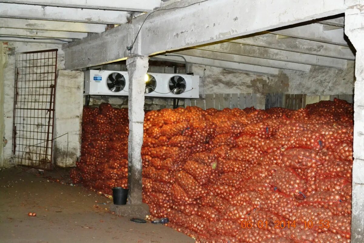 В овощехранилище было 1280 ц моркови когда. Оборудование для овощехранилища 580м3. Картофелехранилище 1000т. Подземное промышленное овощехранилище. Советское овощехранилище.