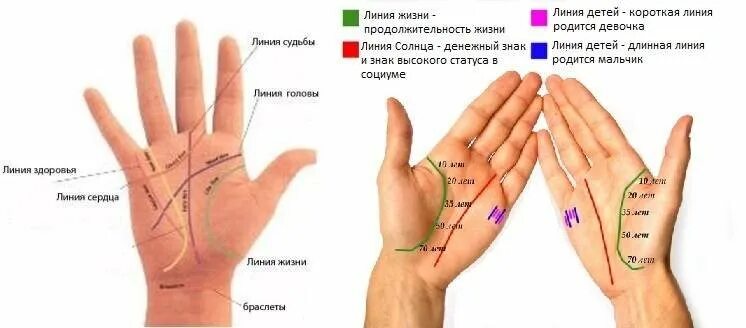 Как по руке узнать сколько проживешь. Хиромантия линии сбоку ладони. линия жизни датировка хиромантия. линия жизни на руке обозначение. линии судьбы по руке.