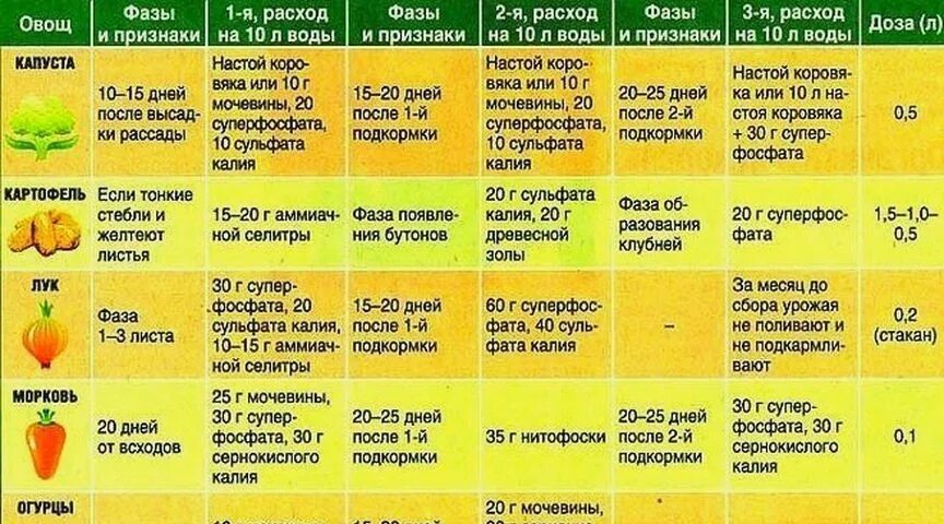 Можно ли опрыскивать перцы. Таблица внесения удобрений для томатов. Таблица подкормки томатов в открытом грунте. Схема удобрения рассады. Схема подкормки рассады перцев.