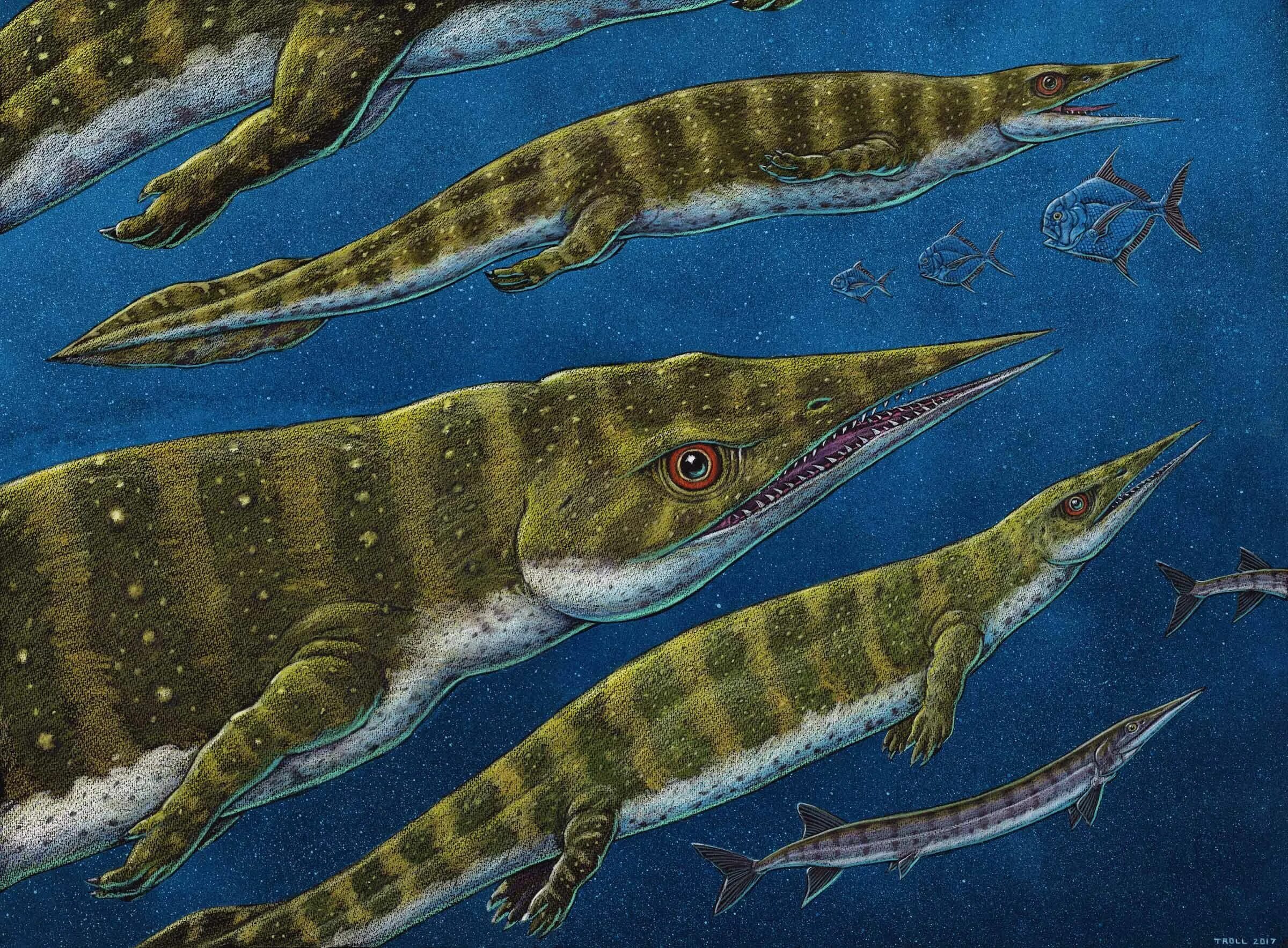 Вымершее морское пресмыкающееся с рыбообразным телом. Талаттозавры (аскептозавр. Рептилии Триасового периода. Морские динозавры Триасового периода. Динозавры Триасового периода.