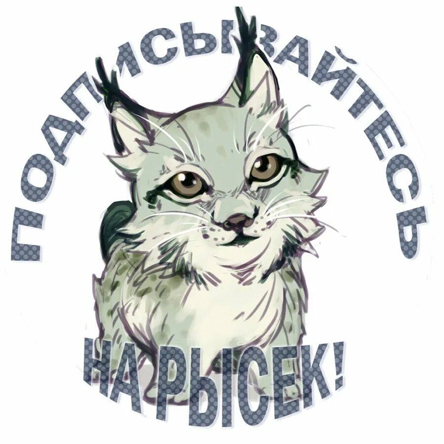 Lynx bobcat отличия. Бобкэт тв. Канал бобкэт. Канал бобкэт. Канал бобкэт.