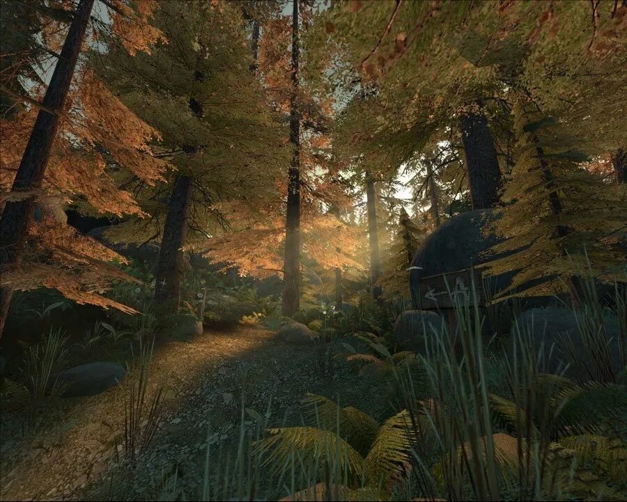 Source forest