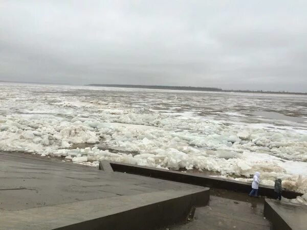 Воды оби в сургуте