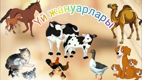 Қырынған кисканың жақын жоспары